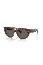 Ray-Ban Güneş Gözlüğü 0RB 2286 1292B1 52