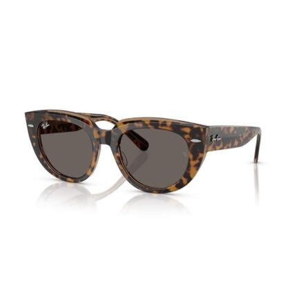 Ray-Ban Güneş Gözlüğü 0RB 2286 1292B1 52