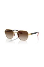 Ray-Ban Güneş Gözlüğü 0RB 3794M F02913 54 Erkek