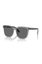 Ray-Ban Güneş Gözlüğü 0RB 4401D 659981 55