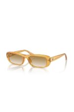 Ray-Ban Güneş Gözlüğü 0RB 4436D 668213 55