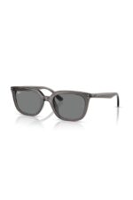 Ray-Ban Güneş Gözlüğü 0RB 4439D 667587 54