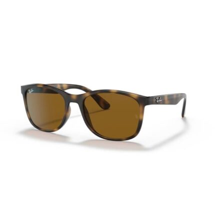 Ray-Ban Güneş Gözlüğü 0RB 4374 710/33 56 Erkek