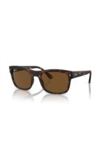 Ray-Ban Güneş Gözlüğü 0RB 4428 56 894/57