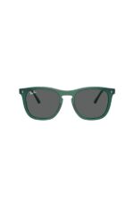 Ray-Ban Güneş Gözlüğü 0RB 2210 6615B1 53