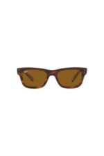 Ray-Ban Güneş Gözlüğü 0RB 2283 954/33 55 Unisex - Görsel 2